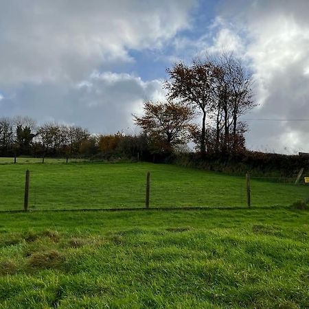 Bittadon Woodland View At Hewish Millヴィラ エクステリア 写真